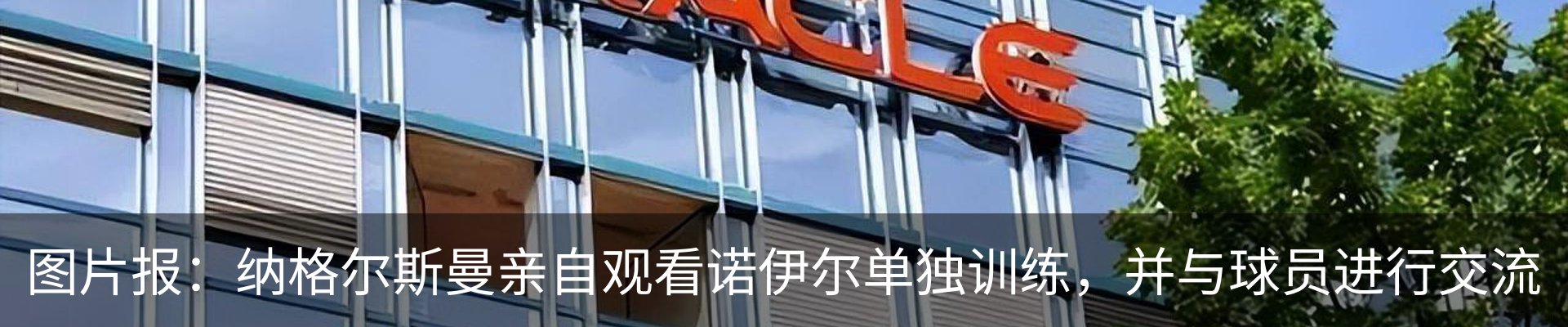 新闻动态