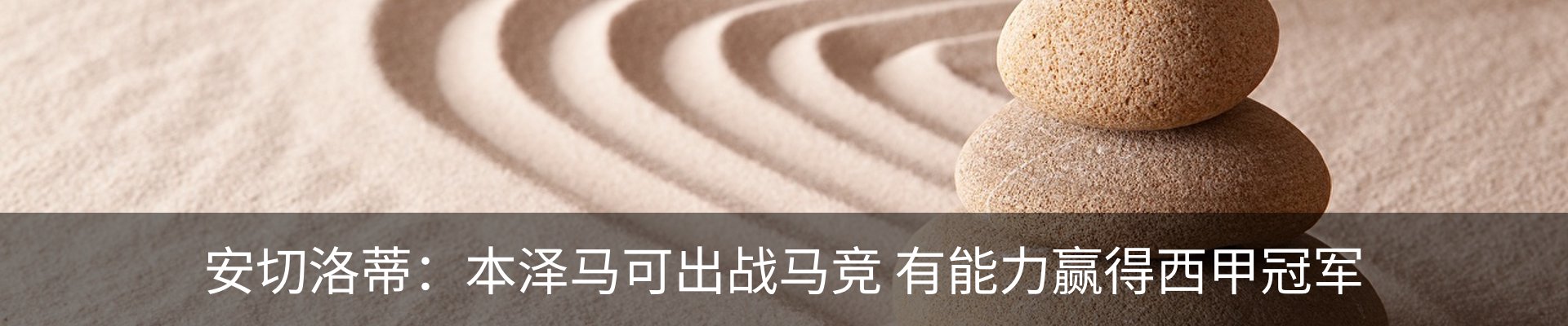 新闻动态
