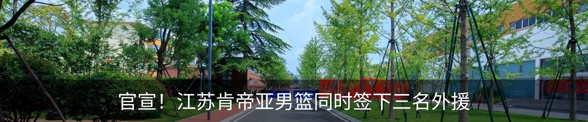 新闻动态