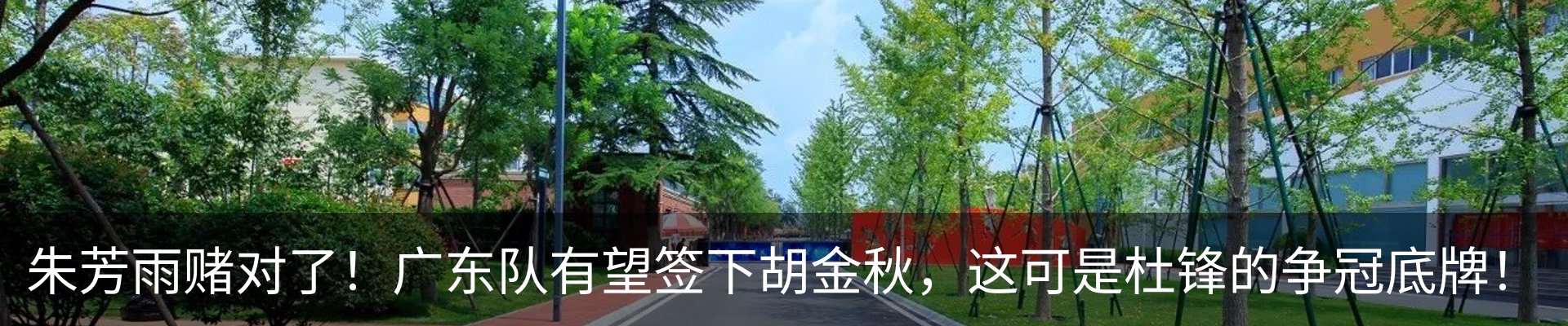 新闻动态