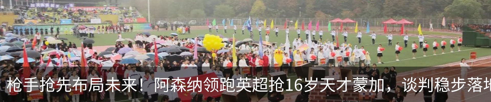 新闻动态