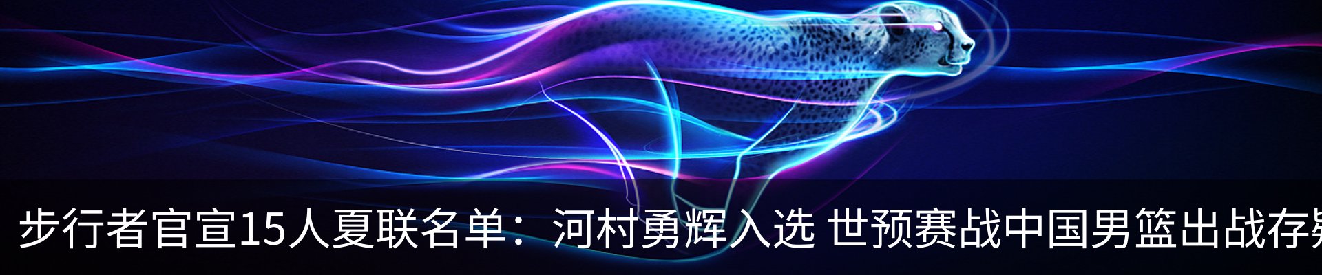 新闻动态
