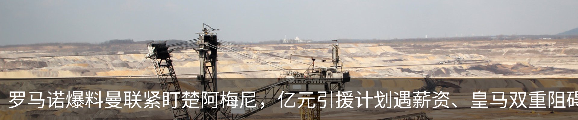 新闻动态