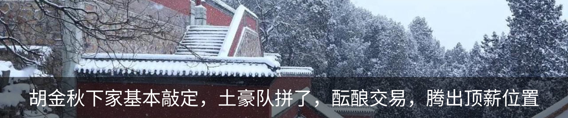 新闻动态