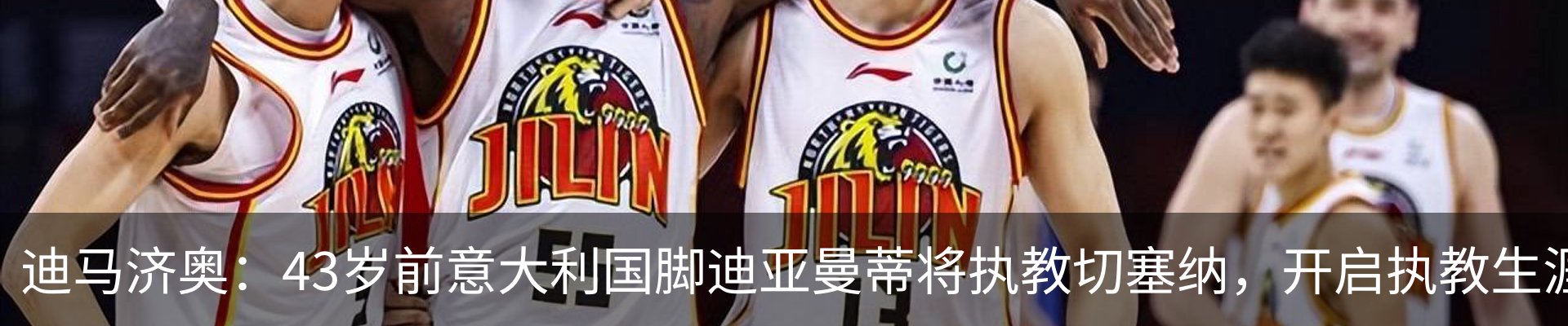新闻动态