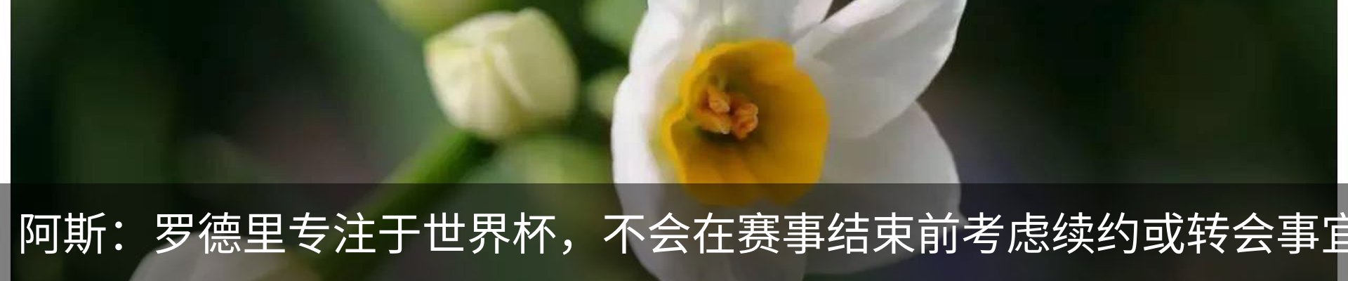 新闻动态