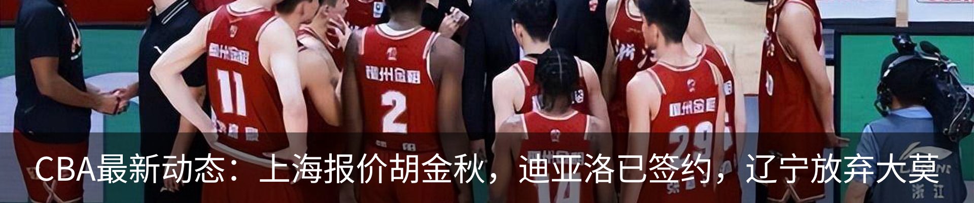 新闻动态