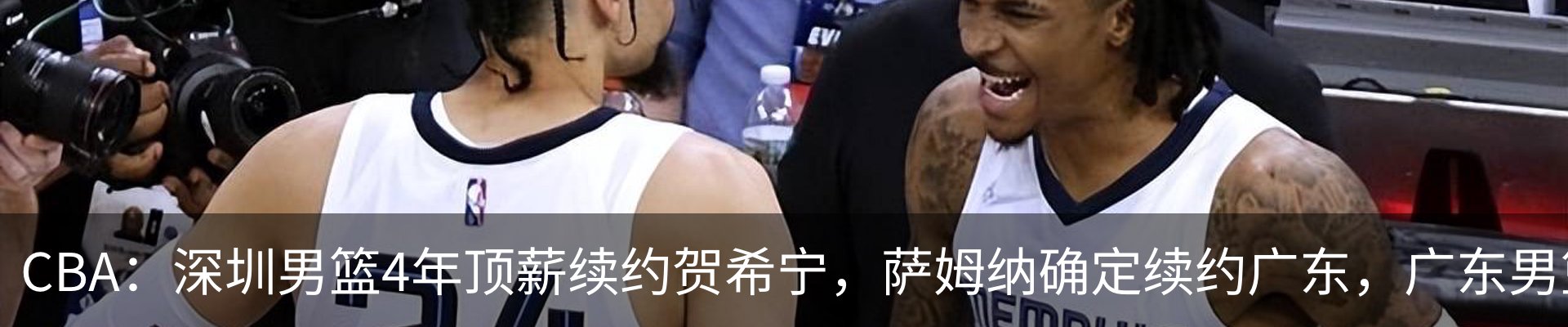 新闻动态